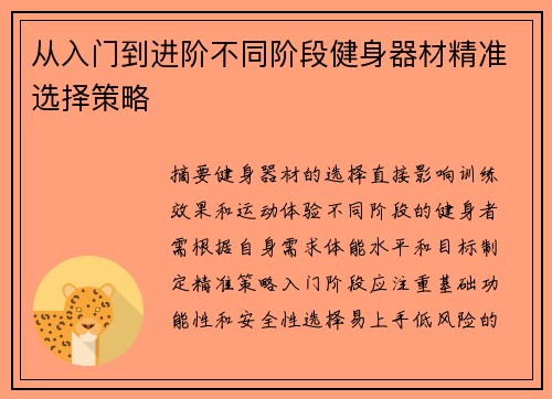 从入门到进阶不同阶段健身器材精准选择策略